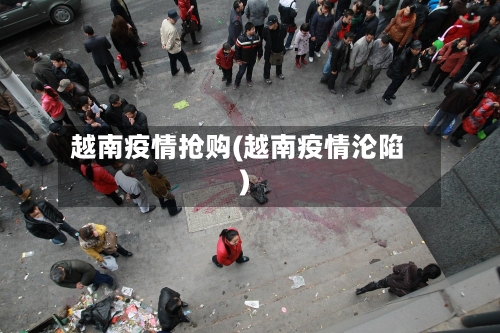 越南疫情抢购(越南疫情沦陷)