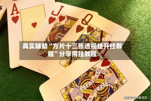 真实辅助“方片十三张透视挂开挂教程”分享用挂教程-第2张图片