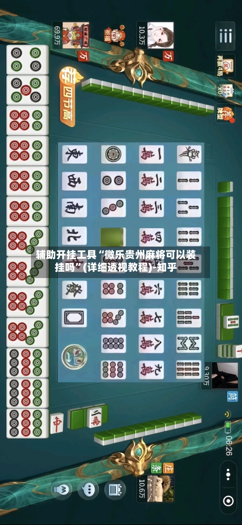 辅助开挂工具“微乐贵州麻将可以装挂吗”(详细透视教程)-知乎-第3张图片