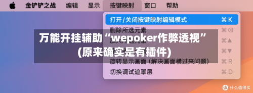 万能开挂辅助“wepoker作弊透视	”(原来确实是有插件)-第2张图片