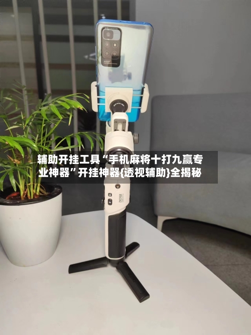 辅助开挂工具“手机麻将十打九赢专业神器”开挂神器{透视辅助}全揭秘