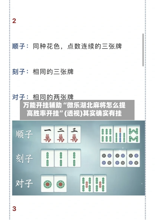 万能开挂辅助“微乐湖北麻将怎么提高胜率开挂”(透视)其实确实有挂-第3张图片