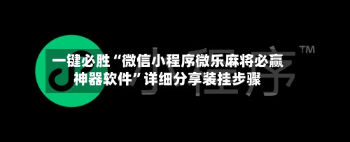 一键必胜“微信小程序微乐麻将必赢神器软件”详细分享装挂步骤-第2张图片