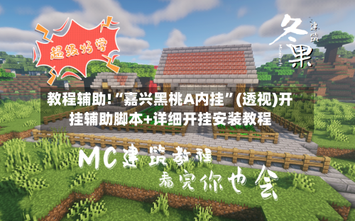 教程辅助!“嘉兴黑桃A内挂”(透视)开挂辅助脚本+详细开挂安装教程-第3张图片