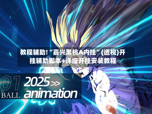 教程辅助!“嘉兴黑桃A内挂”(透视)开挂辅助脚本+详细开挂安装教程