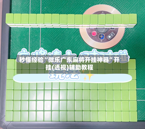 秒懂经验“微乐广东麻将开挂神器”开挂(透视)辅助教程-第3张图片