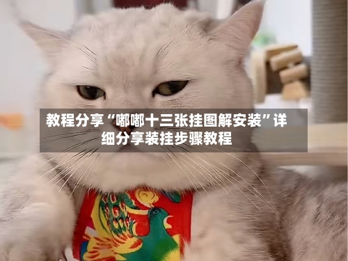 教程分享“嘟嘟十三张挂图解安装	”详细分享装挂步骤教程-第2张图片