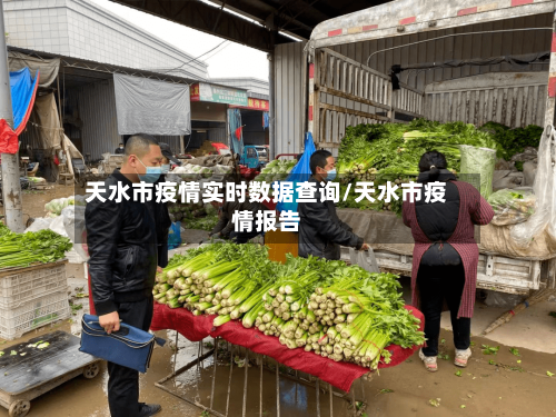 天水市疫情实时数据查询/天水市疫情报告-第2张图片