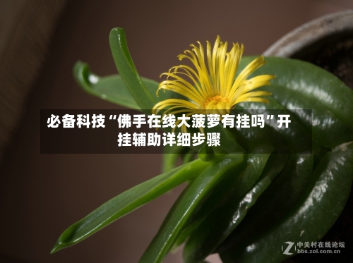 必备科技“佛手在线大菠萝有挂吗”开挂辅助详细步骤