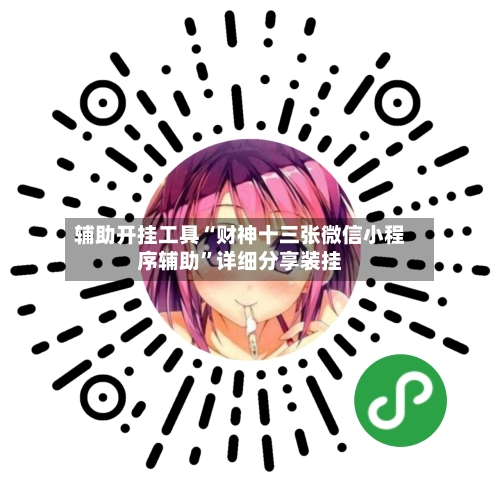 辅助开挂工具“财神十三张微信小程序辅助”详细分享装挂-第2张图片