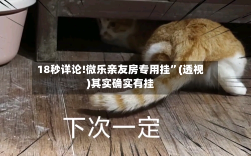 18秒详论!微乐亲友房专用挂”(透视)其实确实有挂-第2张图片