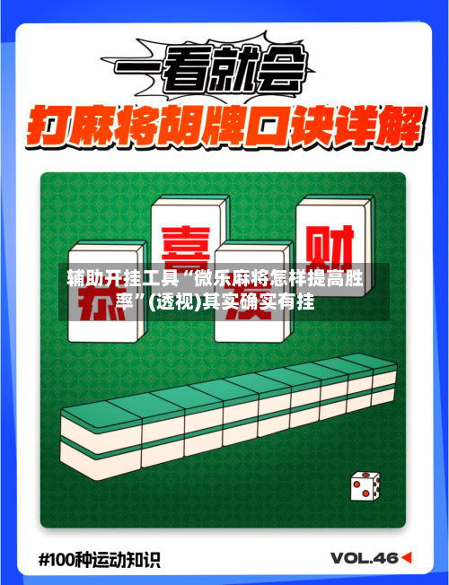 辅助开挂工具“微乐麻将怎样提高胜率”(透视)其实确实有挂-第2张图片