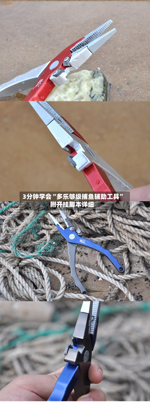 3分钟学会“多乐够级捕鱼辅助工具”附开挂脚本详细-第3张图片