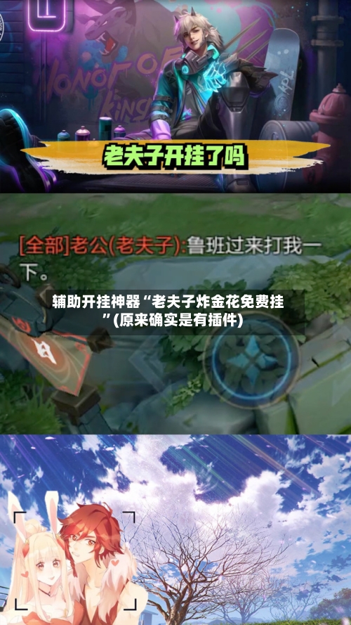 辅助开挂神器“老夫子炸金花免费挂”(原来确实是有插件)-第2张图片