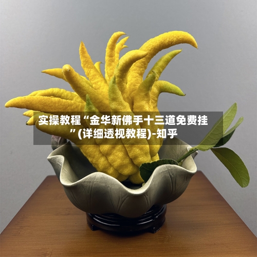 实操教程“金华新佛手十三道免费挂”(详细透视教程)-知乎
