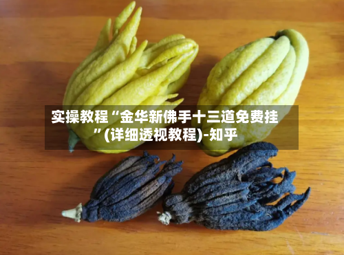 实操教程“金华新佛手十三道免费挂”(详细透视教程)-知乎-第2张图片