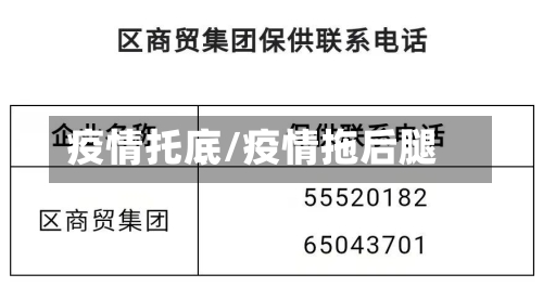 疫情托底/疫情拖后腿