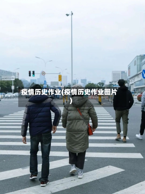疫情历史作业(疫情历史作业图片)-第2张图片