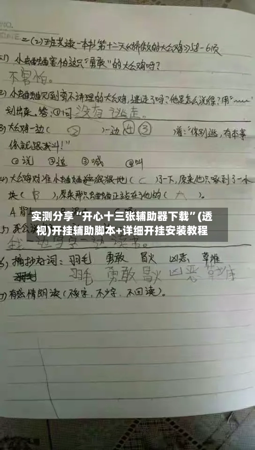 实测分享“开心十三张辅助器下载	”(透视)开挂辅助脚本+详细开挂安装教程-第2张图片