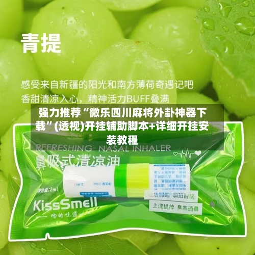 强力推荐“微乐四川麻将外卦神器下载	”(透视)开挂辅助脚本+详细开挂安装教程-第3张图片