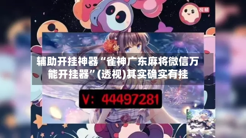 辅助开挂神器“雀神广东麻将微信万能开挂器”(透视)其实确实有挂-第3张图片