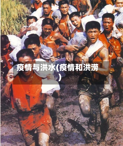 疫情与洪水(疫情和洪涝)