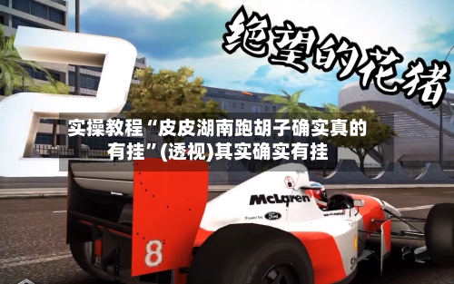 实操教程“皮皮湖南跑胡子确实真的有挂”(透视)其实确实有挂