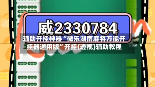 辅助开挂神器“微乐湖南麻将万能开挂器通用版”开挂(透视)辅助教程-第3张图片