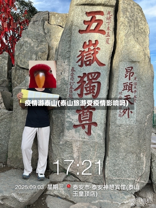 疫情游泰山(泰山旅游受疫情影响吗)-第3张图片