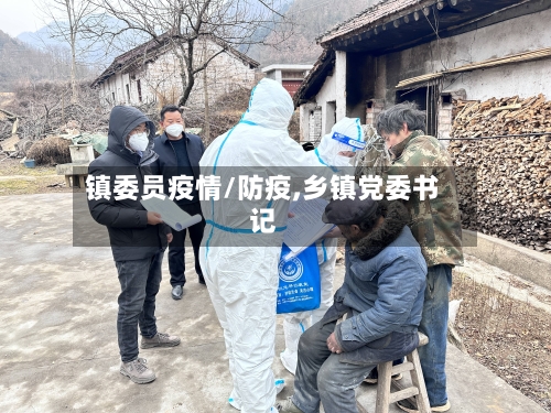 镇委员疫情/防疫,乡镇党委书记-第2张图片