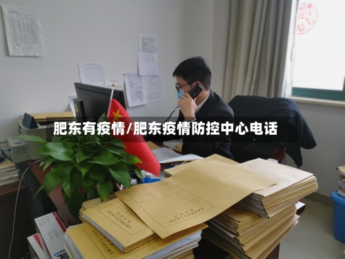 肥东有疫情/肥东疫情防控中心电话-第2张图片