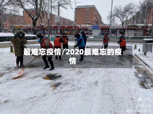 最难忘疫情/2020最难忘的疫情