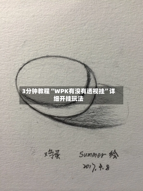 3分钟教程“WPK有没有透视挂”详细开挂玩法