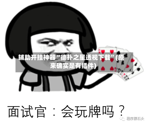 辅助开挂神器“德扑之星透视下载”(原来确实是有插件)-第2张图片