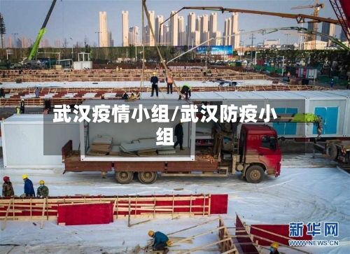 武汉疫情小组/武汉防疫小组