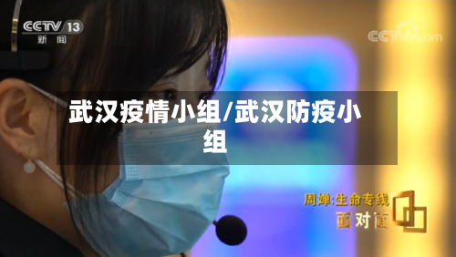 武汉疫情小组/武汉防疫小组-第2张图片