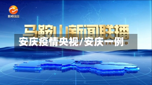 安庆疫情央视/安庆一例
