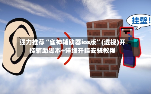 强力推荐“雀神辅助器ios版”(透视)开挂辅助脚本+详细开挂安装教程