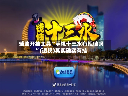 辅助开挂工具“手机十三水有规律吗”(透视)其实确实有挂