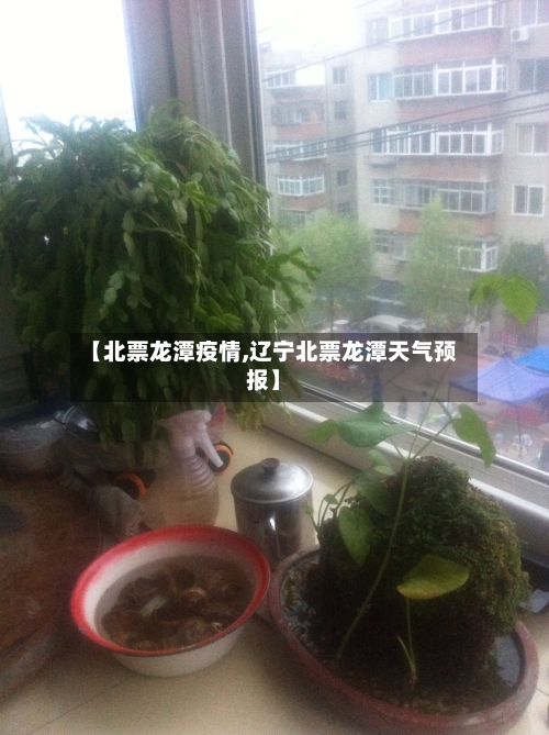 【北票龙潭疫情,辽宁北票龙潭天气预报】-第2张图片