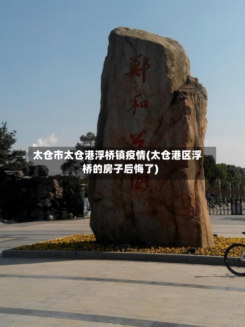 太仓市太仓港浮桥镇疫情(太仓港区浮桥的房子后悔了)-第2张图片