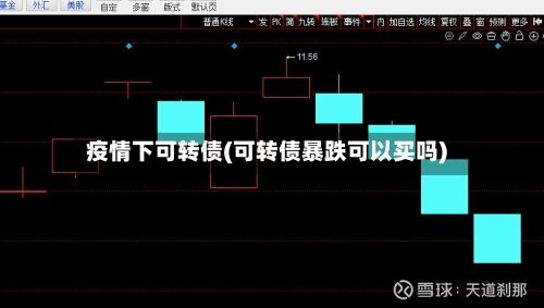 疫情下可转债(可转债暴跌可以买吗)