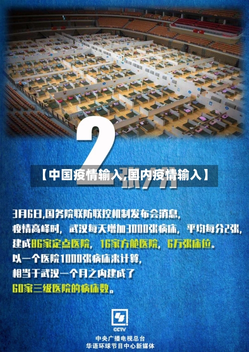 【中国疫情输入,国内疫情输入】-第2张图片