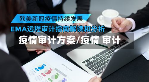 疫情审计方案/疫情 审计