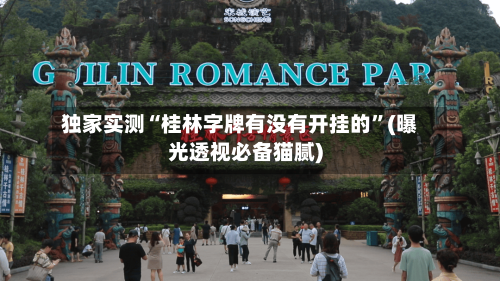 独家实测“桂林字牌有没有开挂的”(曝光透视必备猫腻)
