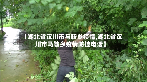 【湖北省汉川市马鞍乡疫情,湖北省汉川市马鞍乡疫情防控电话】-第3张图片