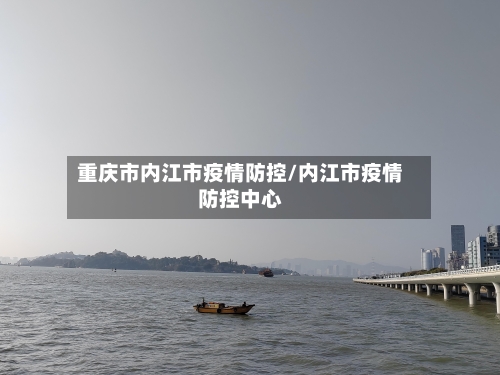 重庆市内江市疫情防控/内江市疫情防控中心