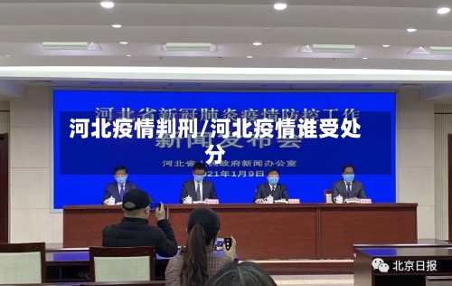 河北疫情判刑/河北疫情谁受处分-第2张图片