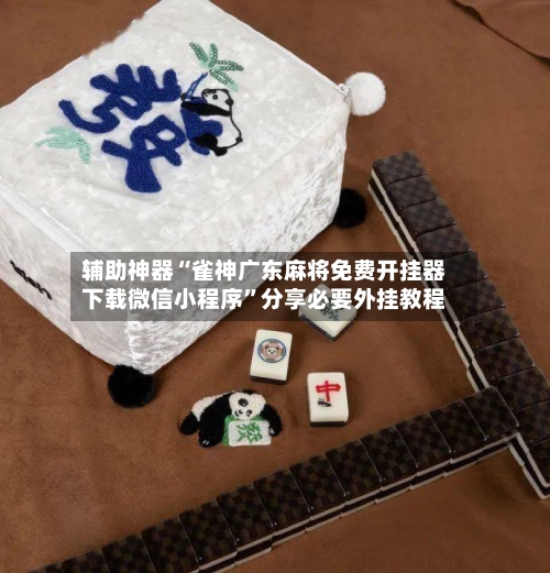 辅助神器“雀神广东麻将免费开挂器下载微信小程序”分享必要外挂教程-第3张图片