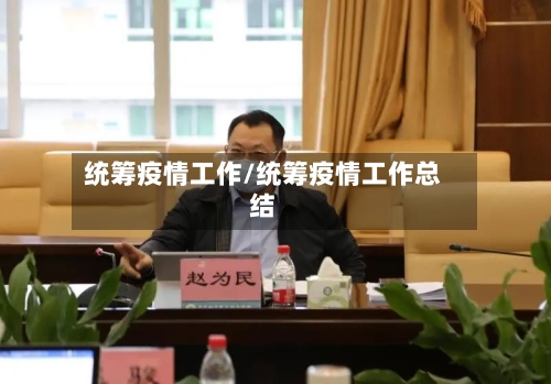 统筹疫情工作/统筹疫情工作总结